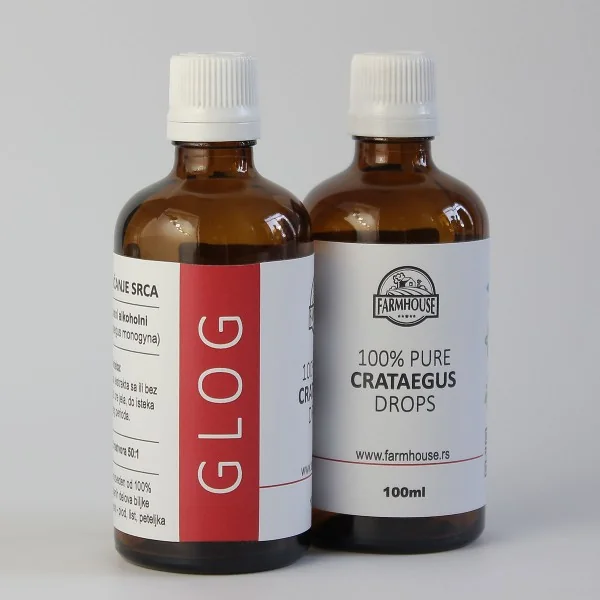 GLOG kapi